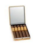 Zino - Nicaragua - 4 x 44 Half Corona (Tin of 5)