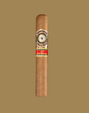 Perdomo - 20th Anniversary - Connecticut - 6 x 56 Epicure