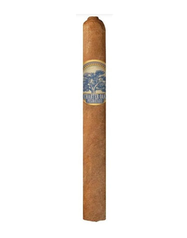 Foundation - Charter Oak Pegnataro - 5.5 x 48 Corona