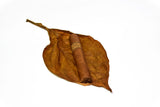 The Leaf by Oscar - Corojo - 6 x 60 Gordo