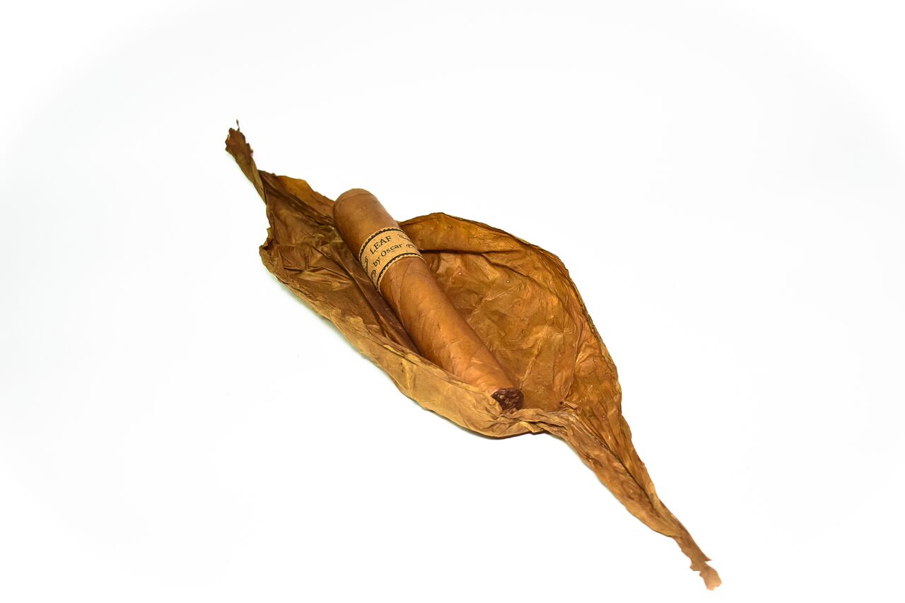 where to buy tobacco leaves for cigar rolling Leaf Dried tobacco leaves in the