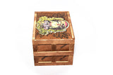 My Way by Bayron Duarte - 4 x 60 Gordito - (Box of 24 or Single Cigar)
